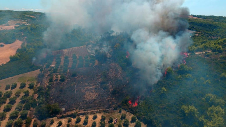 Ηλεία: Ανεξέλεγκτη η πυρκαγιά στο Περιστέρι – Μάχη χωρίς εναέρια μέσα